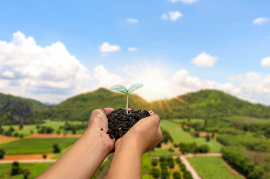 Sustainable Living: A New Year’s Resolution to Keep