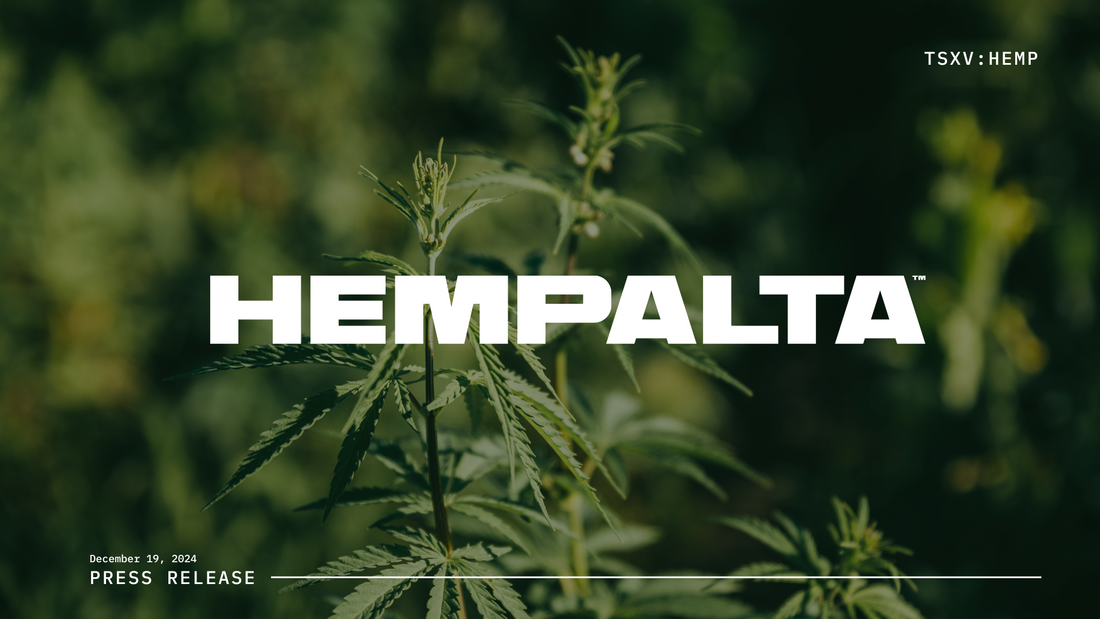 Hempalta Corp. Announces Financial Results for Year Ended September 30, 2024
