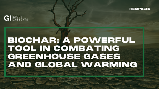 Biochar: A Powerful Tool in Combating Greenhouse Gases and Global Warming