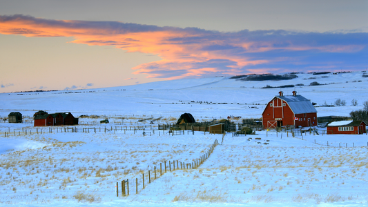 Winterizing Farms with Hemp - Hemp Bedding