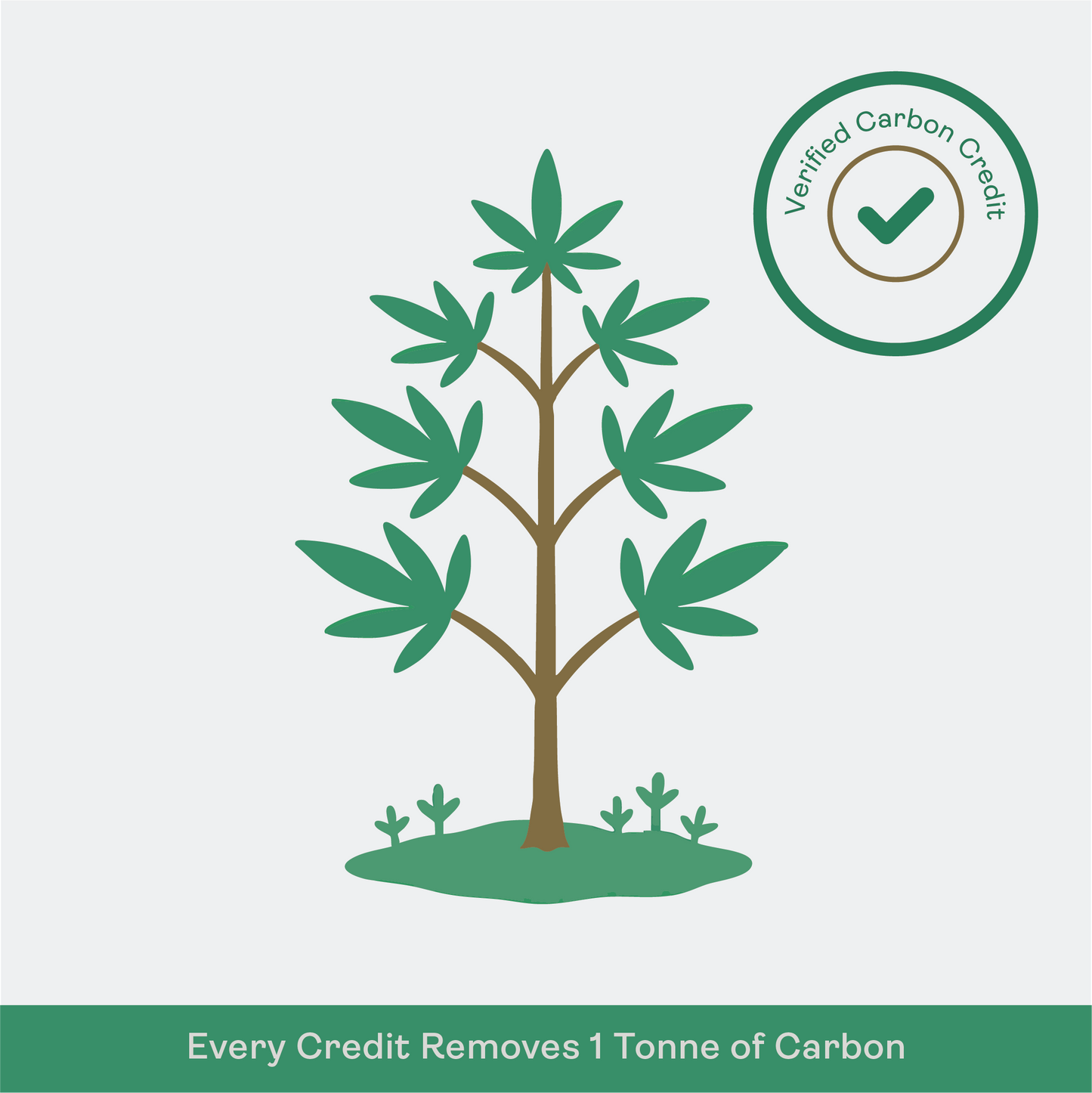 Fiber Source— 2023 Carbon Credits