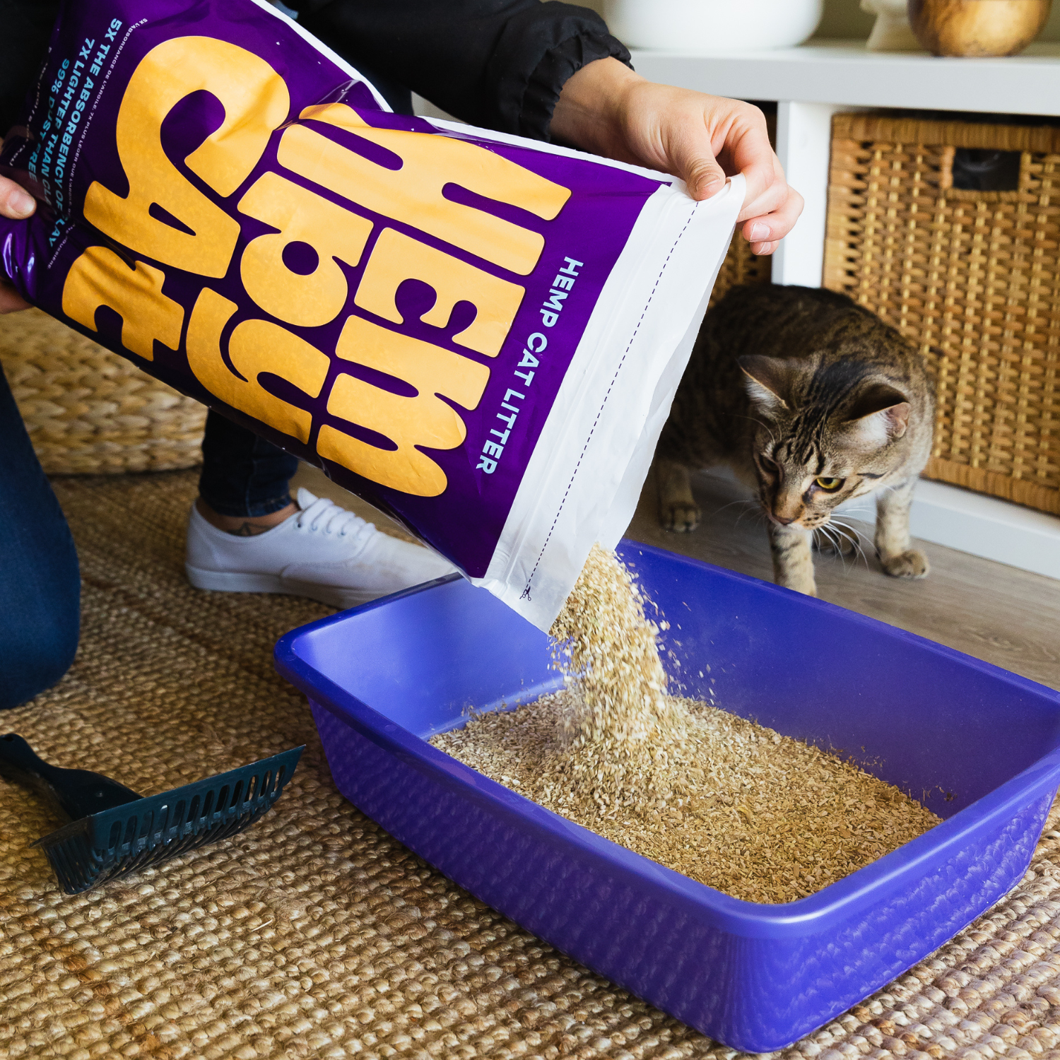 Hemp clearance cat litter